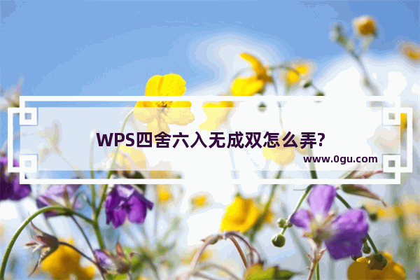 WPS四舍六入无成双怎么弄?