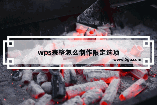 wps表格怎么制作限定选项