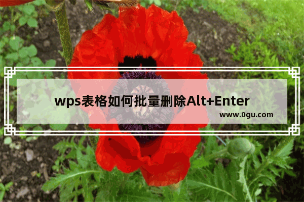 wps表格如何批量删除Alt+Enter强制换行的手工换行符