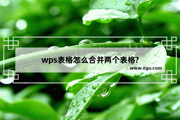 wps表格怎么合并两个表格?