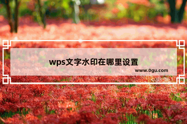 wps文字水印在哪里设置