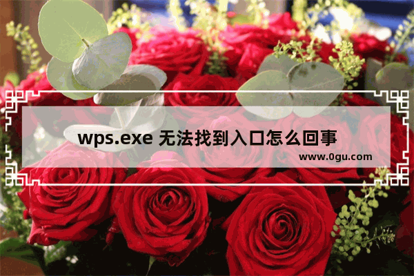 wps.exe 无法找到入口怎么回事