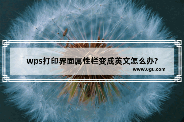 wps打印界面属性栏变成英文怎么办?