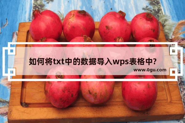 如何将txt中的数据导入wps表格中?