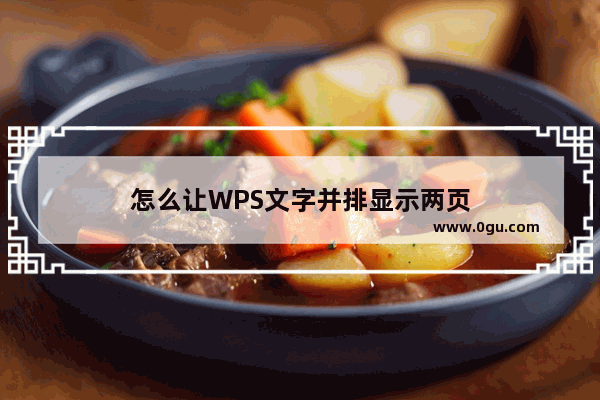 怎么让WPS文字并排显示两页