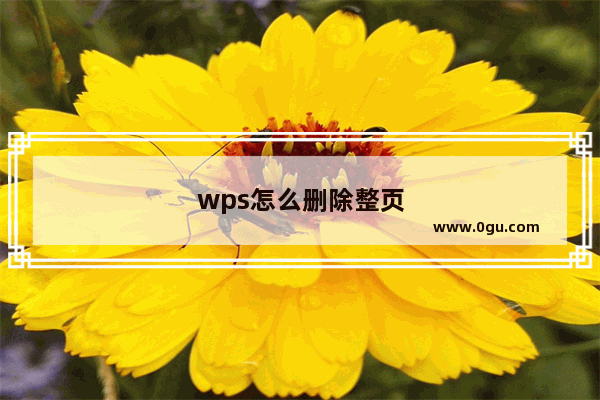 wps怎么删除整页