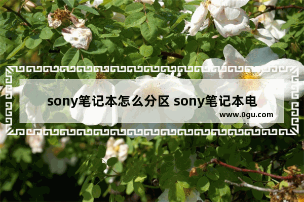 sony笔记本怎么分区 sony笔记本电脑硬盘怎样拆