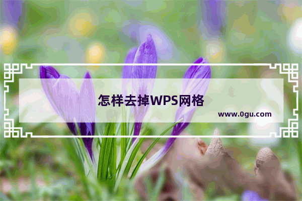 怎样去掉WPS网格