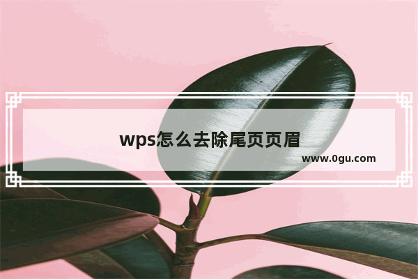 wps怎么去除尾页页眉