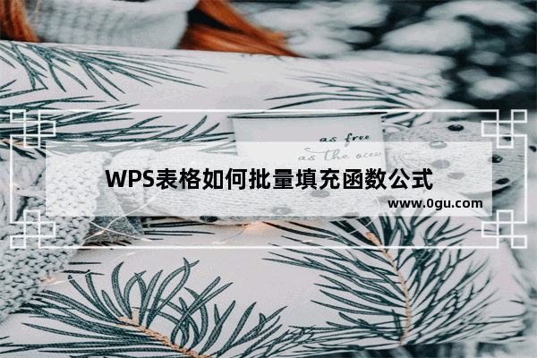 WPS表格如何批量填充函数公式