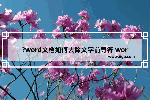 ?word文档如何去除文字前导符 word文档删除段落编号的方法