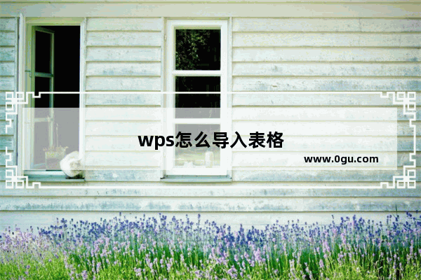 wps怎么导入表格