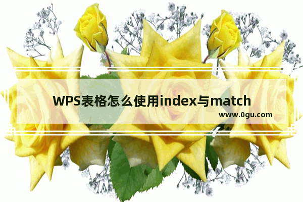 WPS表格怎么使用index与match函数搭配使用?