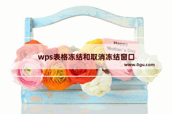 wps表格冻结和取消冻结窗口