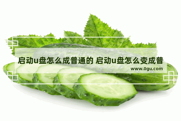 启动u盘怎么成普通的 启动u盘怎么变成普通u盘