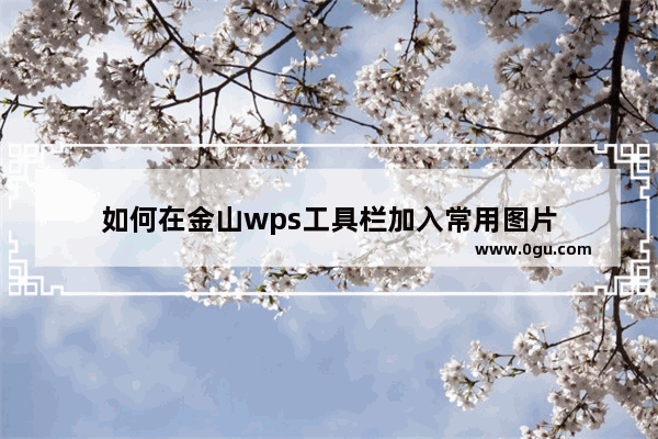 如何在金山wps工具栏加入常用图片