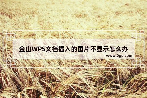 金山WPS文档插入的图片不显示怎么办