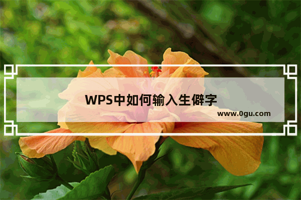 WPS中如何输入生僻字