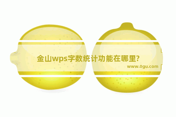 金山wps字数统计功能在哪里?