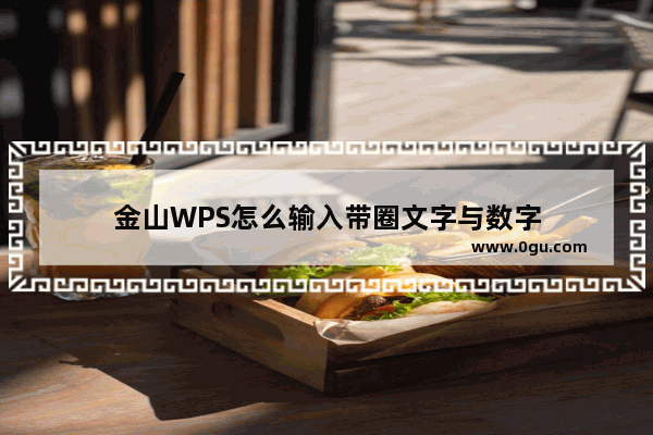 金山WPS怎么输入带圈文字与数字