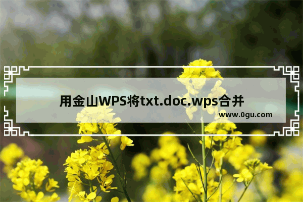 用金山WPS将txt.doc.wps合并为一个文档的方法