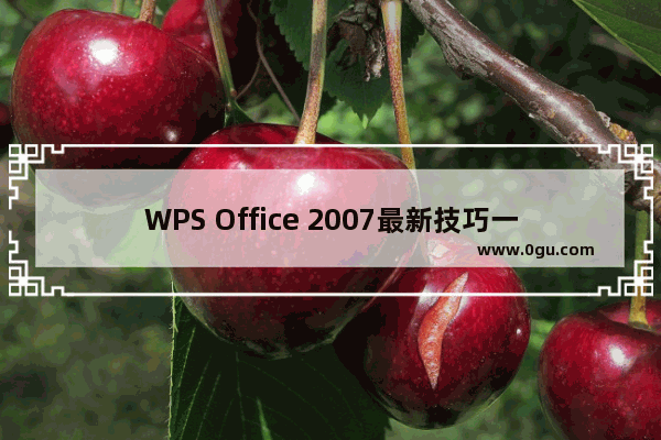 WPS Office 2007最新技巧一览