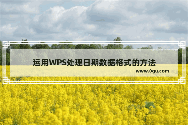 运用WPS处理日期数据格式的方法