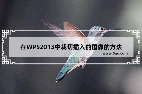 在WPS2013中裁切插入的图像的方法