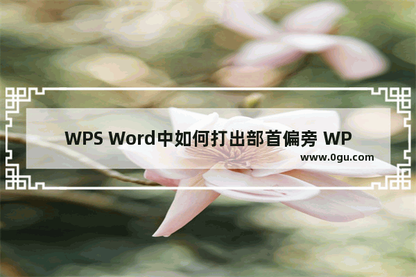 WPS Word中如何打出部首偏旁 WPS Word中打出部首偏旁的方法