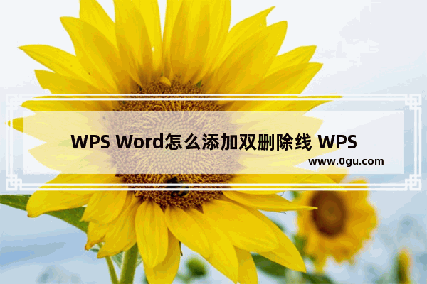 WPS Word怎么添加双删除线 WPS Word添加双删除线的方法