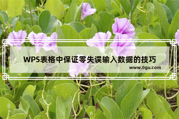 WPS表格中保证零失误输入数据的技巧