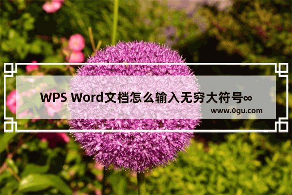 WPS Word文档怎么输入无穷大符号∞ WPS Word文档插入无穷大符号∞的方法