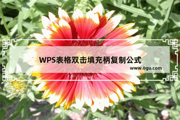 WPS表格双击填充柄复制公式