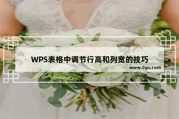 WPS表格中调节行高和列宽的技巧