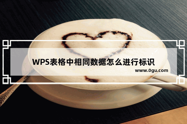 WPS表格中相同数据怎么进行标识