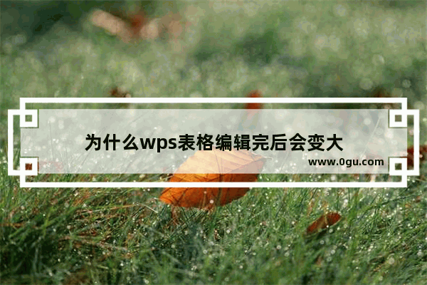 为什么wps表格编辑完后会变大