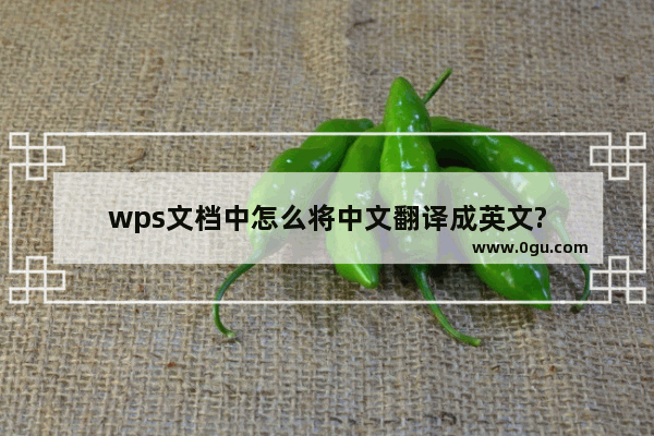 wps文档中怎么将中文翻译成英文?