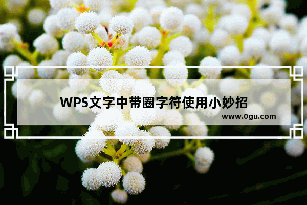 WPS文字中带圈字符使用小妙招