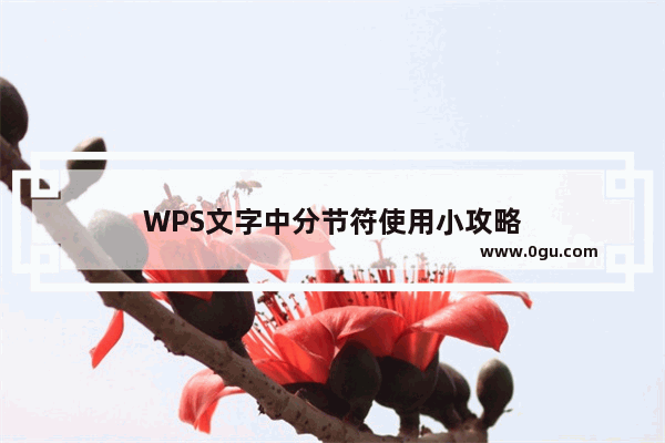 WPS文字中分节符使用小攻略