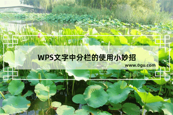 WPS文字中分栏的使用小妙招