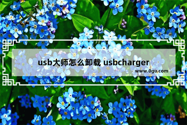 usb大师怎么卸载 usbchargerplus卸载