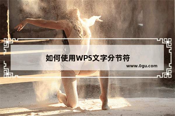 如何使用WPS文字分节符