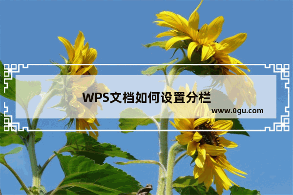 WPS文档如何设置分栏