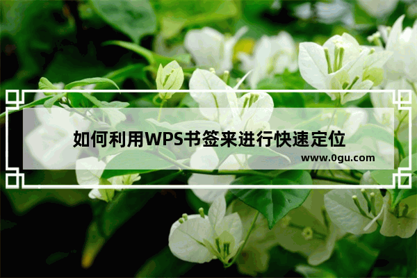 如何利用WPS书签来进行快速定位