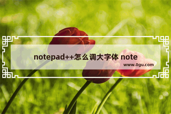 notepad++怎么调大字体 notepad++设置字体大小的方法