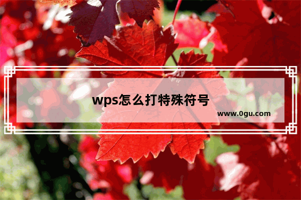 wps怎么打特殊符号