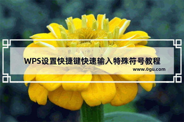 WPS设置快捷键快速输入特殊符号教程