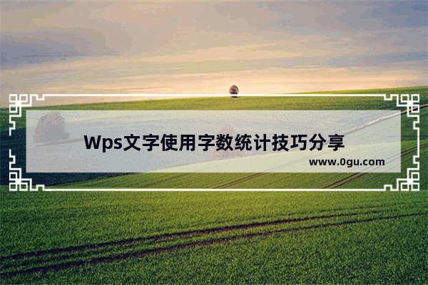 Wps文字使用字数统计技巧分享