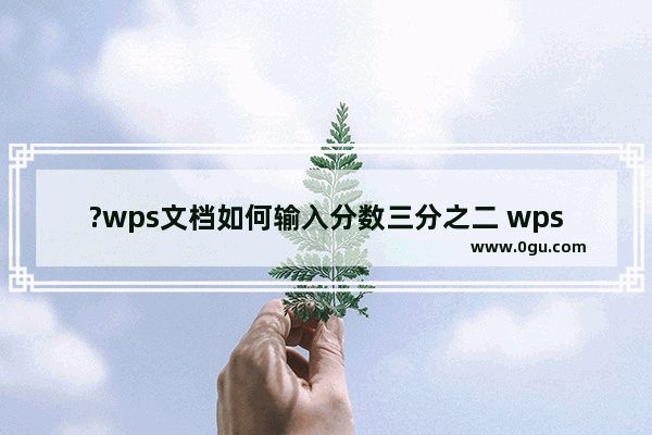 ?wps文档如何输入分数三分之二 wps文档插入分数的方法