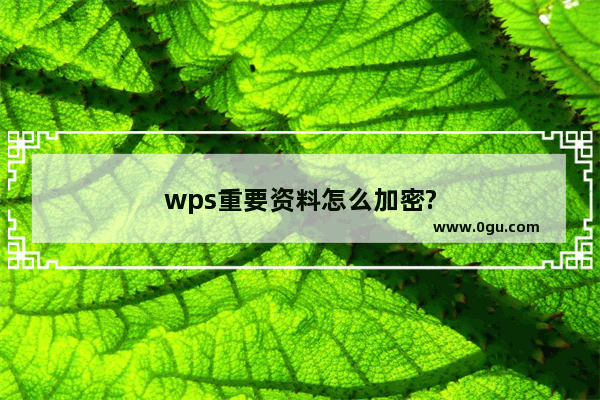 wps重要资料怎么加密?